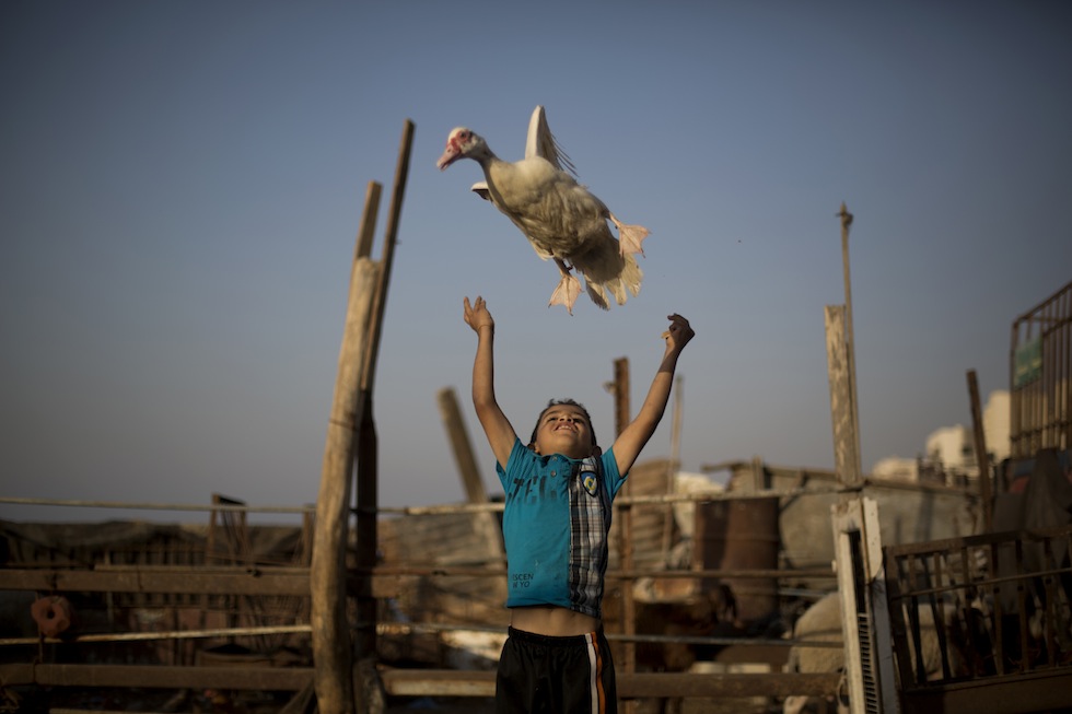 Mercoledì 30 ottobre