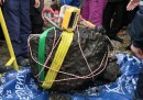 Il recupero del meteorite caduto in Russia