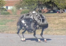 WildCat, il nuovo robot della Boston Dynamics