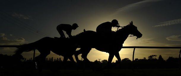 Silhouette di cavalli