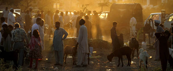 People visit a small livestock market to buy sacrificial animals for the Muslim holiday of Eid al-Adha, or &#8220;Feast of Sacrifice,&#8221; in Islamabad, Pakistan on Tuesday, Oct. 15, 2013. Muslims all over the world are celebrating Eid al-Adha by sacrificing sheep, goats, cows and camels, to commemorate the Prophet Abraham&#8217;s readiness to sacrifice his son, Ismail, on God&#8217;s command. (AP Photo/Anjum Naveed)
