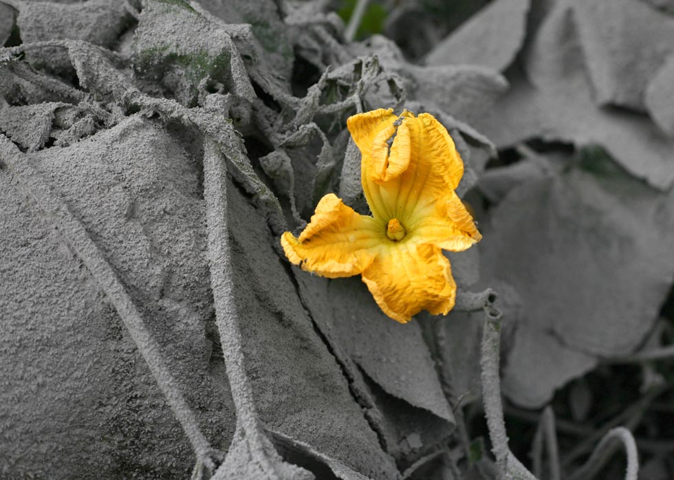 Mercoledì 6 novembre