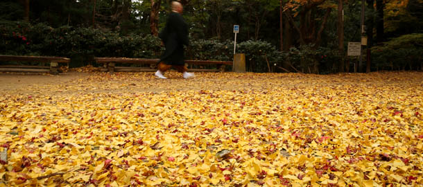 HIMEJI, JAPAN - NOVEMBER 27: Japanese Buddhist monk walks through the felled colors changed autumn leaves at Shoshazan Engyoji Temple on November 27, 2013 in Himeji, Japan. Thousands of tourists come to enjoy the autumn colors of the maple leaves every year. (Photo by Buddhika Weerasinghe/Getty Images)