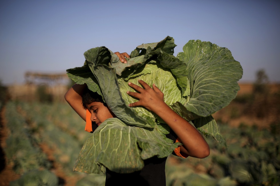 Giovedì 28 novembre