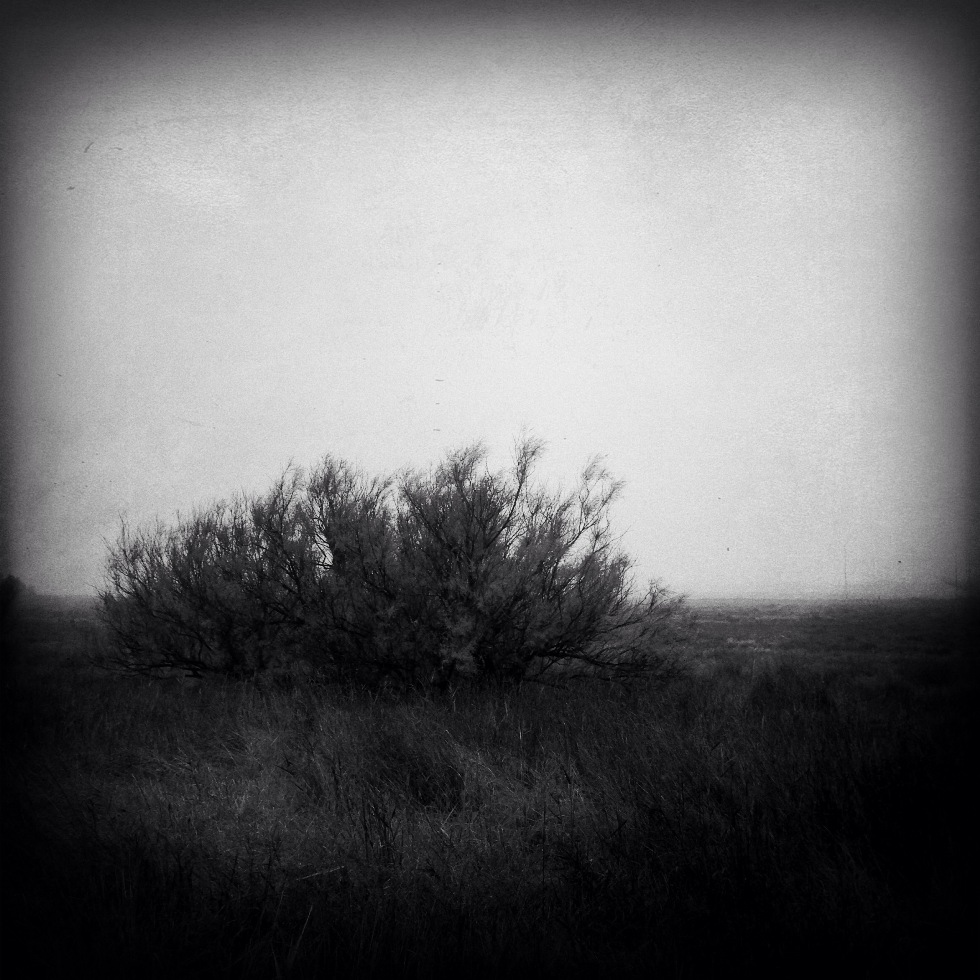 Non ci penso quasi mai