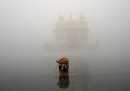 Nebbia, India