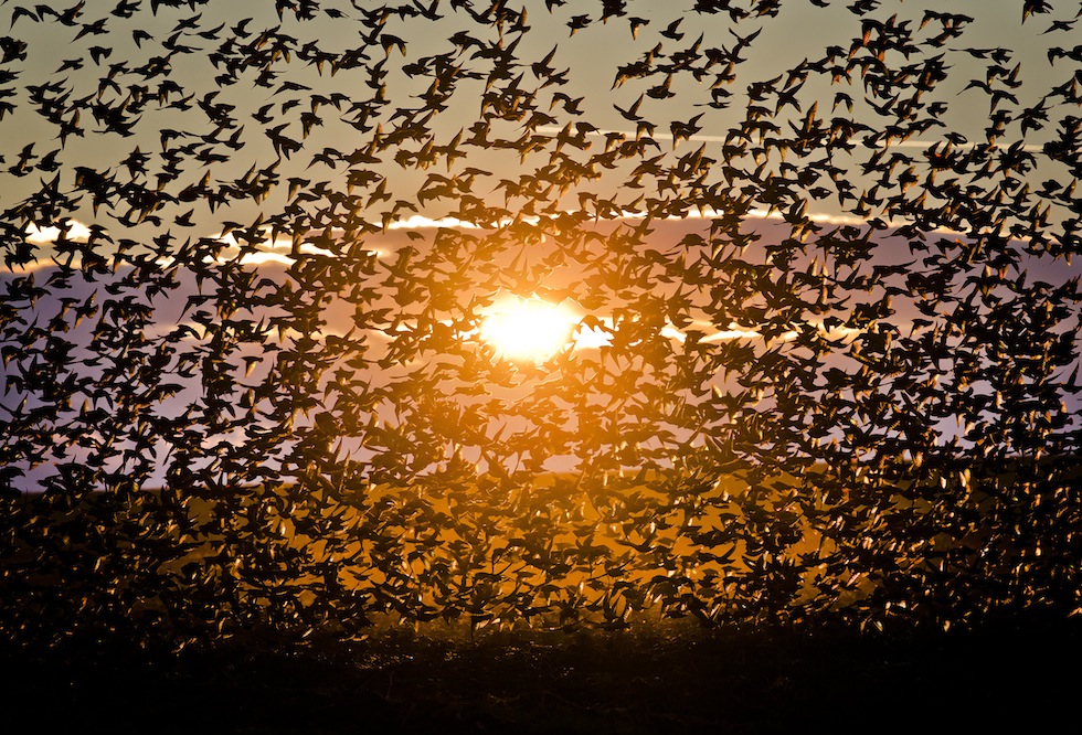 Martedì 10 dicembre