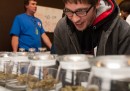 L'indotto della marijuana in Colorado