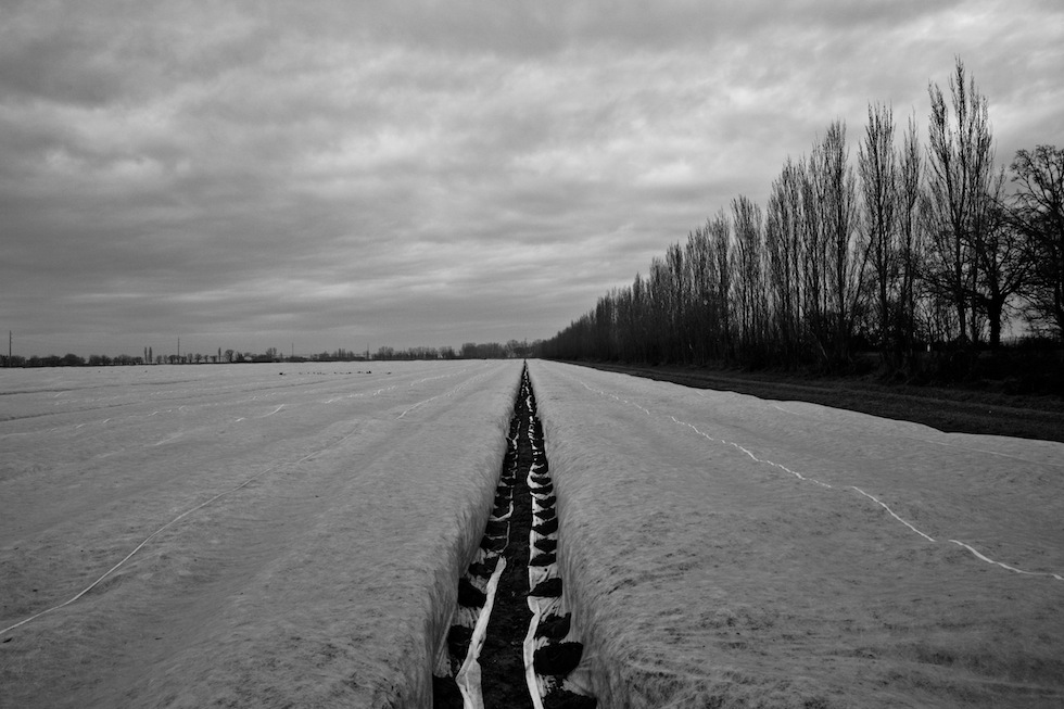 La terra delle promesse mancate