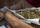 Le leggi sulla marijuana nel mondo