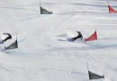 Slalom parallelo con lo snowboard - maschile e femminile