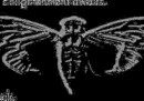 Il nuovo enigma di Cicada 3301
