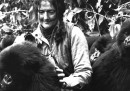 Dian Fossey, e i suoi gorilla
