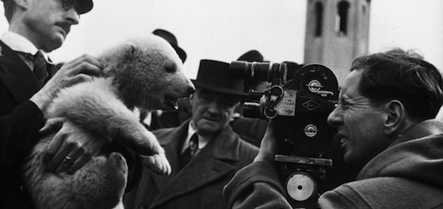 March 1950: A keeper at London Zoo holding up Brumas, a baby polar bear, for a television camera before he is returned to his mother. (Photo by Chris Ware/Keystone Features/Getty Images)
