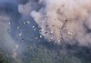 Sumatra, Indonesia