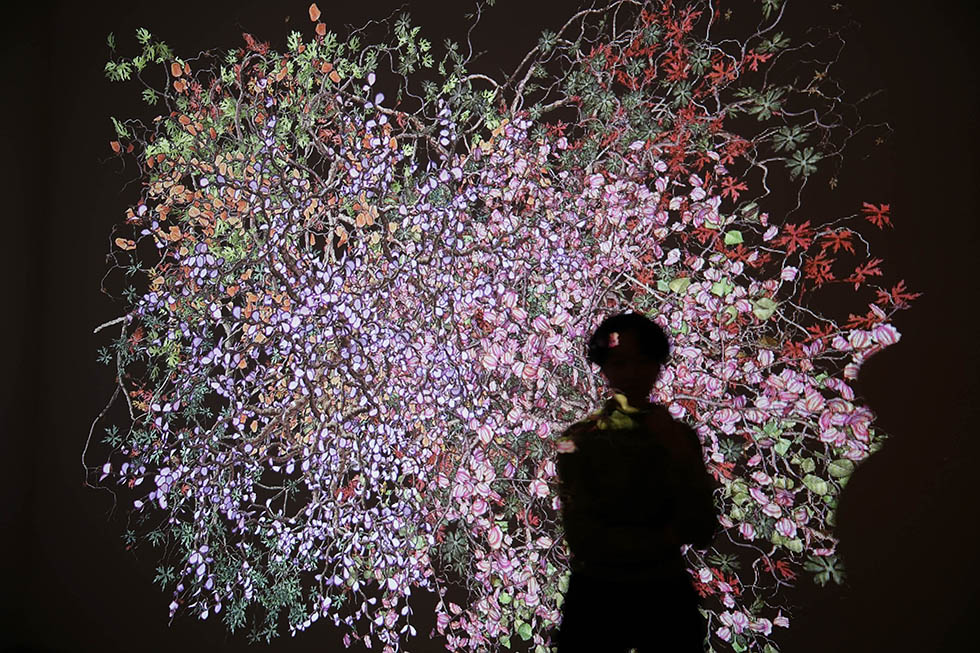 Mercoledì 12 febbraio