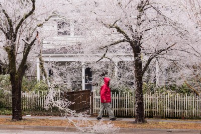 Summerville, South Carolina, USA