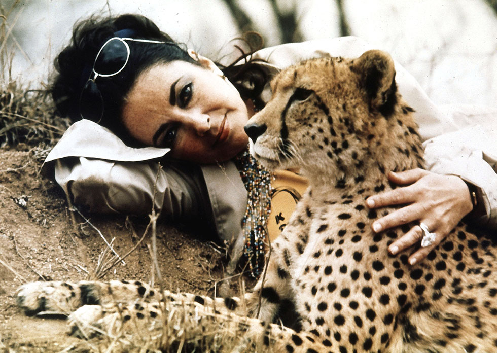 Liz Taylor e ghepardo
