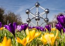 Bruxelles, Belgio