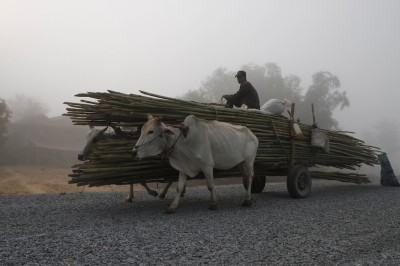 Kompong Seila, Cambogia