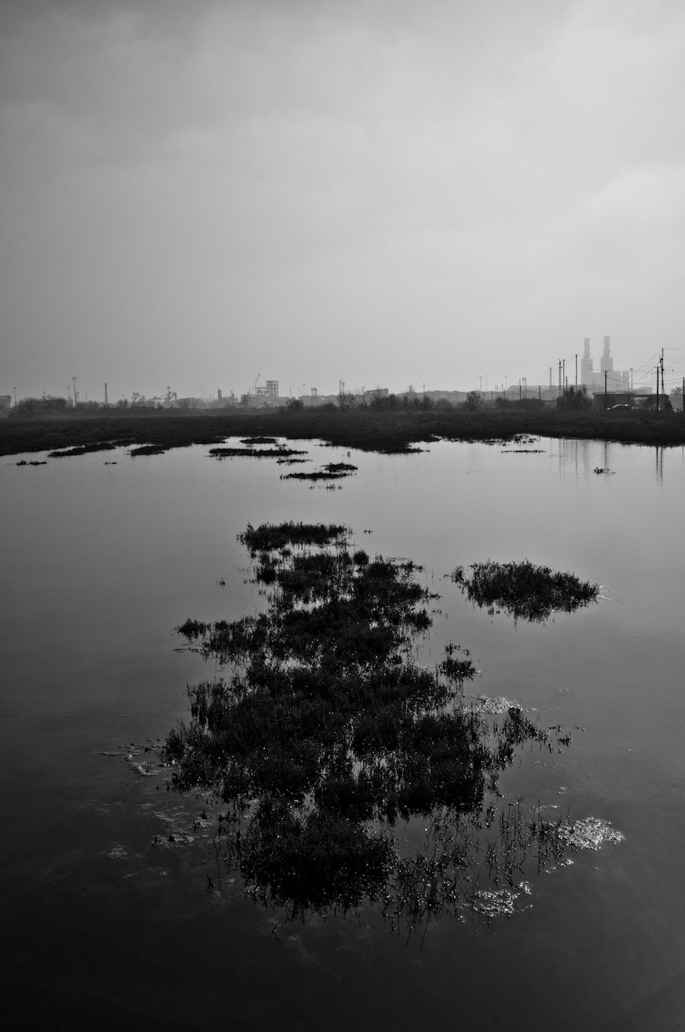 E’ solamente domenica