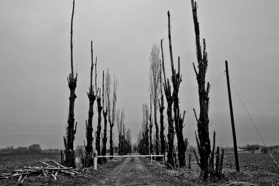 Cronache dalla via Emilia