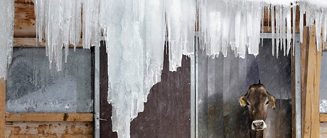 La scienza dei ghiaccioli