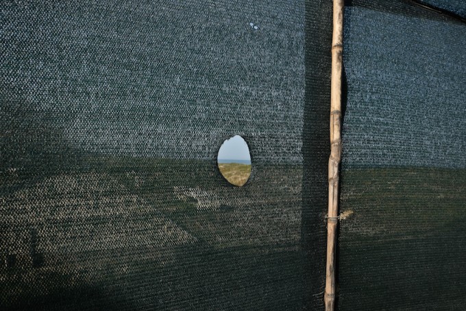 ogni maledetta domenica