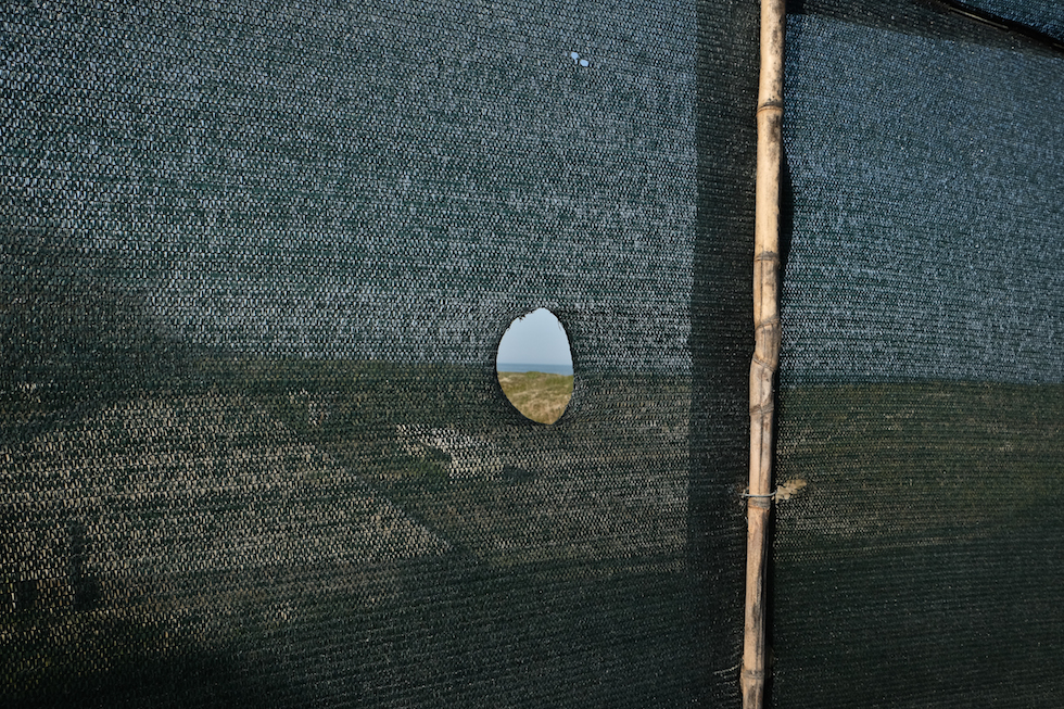 Ogni maledetta domenica