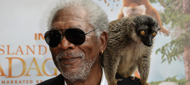 Morgan Freeman (76) con il lemure Taj alla prima di Island of Lemurs: Madagascar a Los Angeles, California.
(Richard Shotwell/Invision/AP)