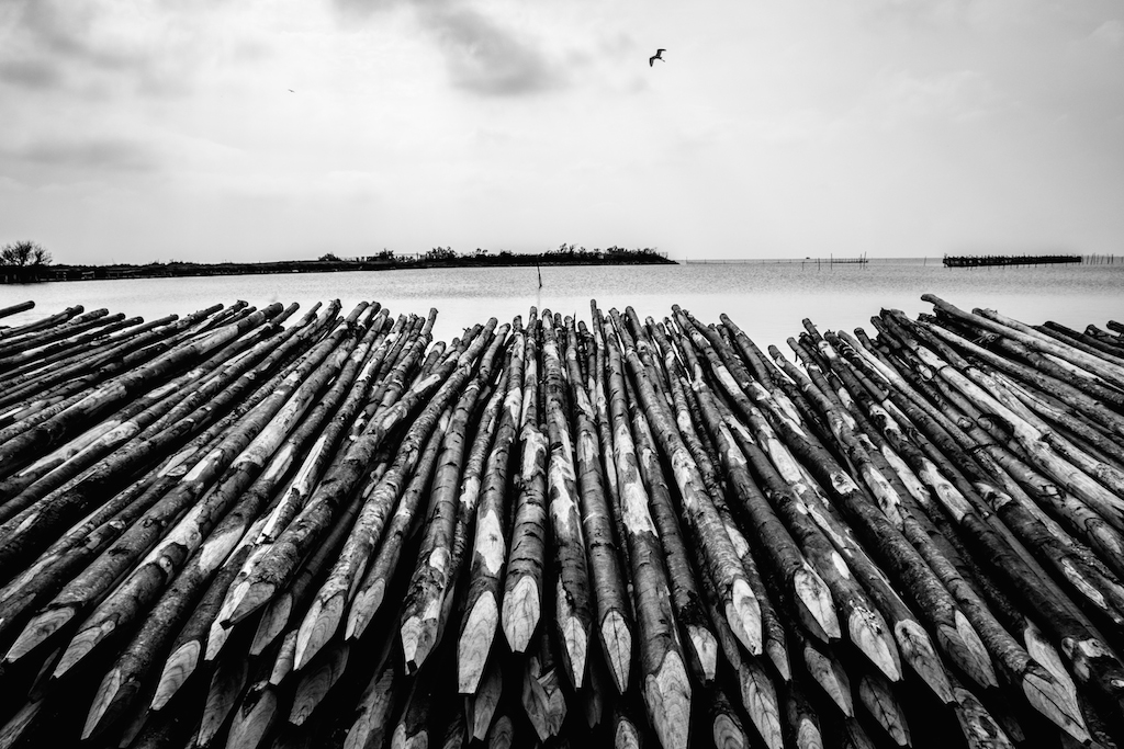 Come un San Sebastiano