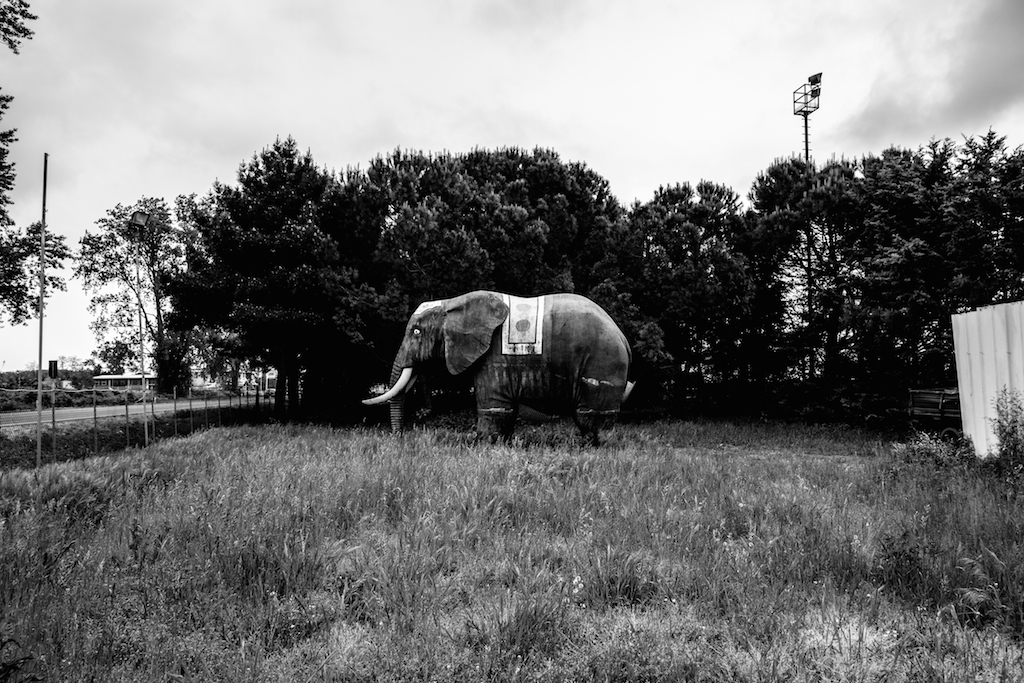 La terra dei sogni a buon mercato