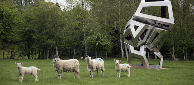 Pecore in un campo vicino alla scultura Associate dell'artista gallese Richard Deacon in mostra alla Henry Moore Foundationa Perry Green, nell'Herfordshire, Regno Unito. 
(Oli Scarff/Getty Images)