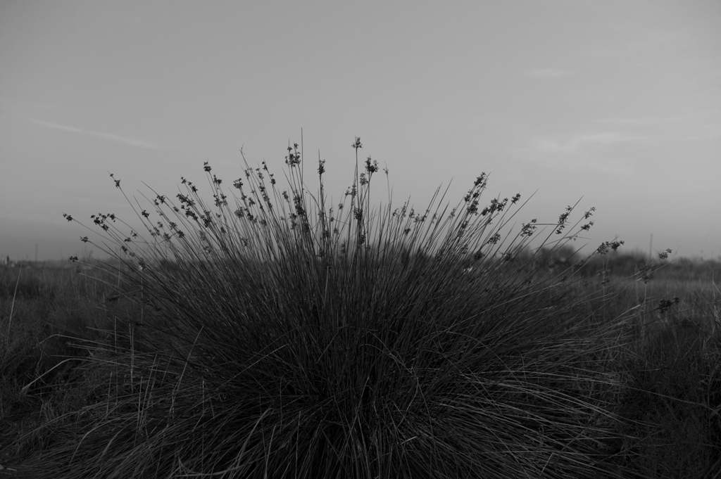 E’ solo immaginazione