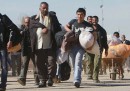 L'Iran manda profughi afghani a combattere in Siria?