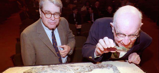 WASHINGTON, DC - JANUARY5: Dr. Frank Whitmore (R), vice chairman of the Committee for Research and Exploration of the National Geographic Society and George Watson (L), a member of the research committee, examine a newly discovered Eoraptor dinosaur fossil at the National Geographic Society in Washington, DC 05 January, 1993. The fossil was dicovered by University of Chicago paleontologist Dr. Paul Sereno. (Photo credit should read ROBERT GIROUX/AFP/Getty Images)