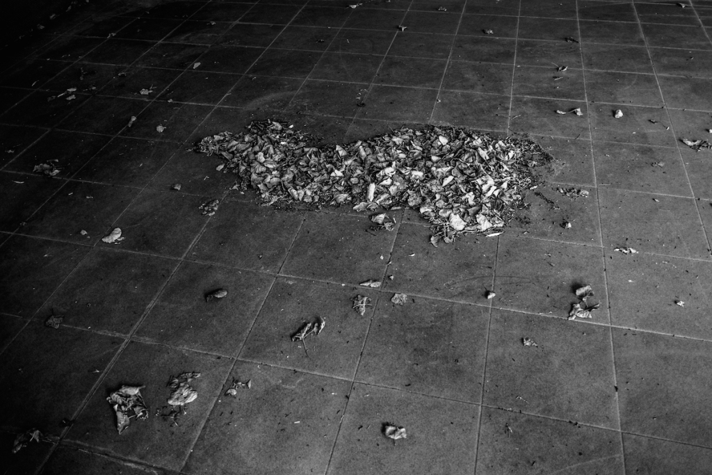 Più che altro, grigio