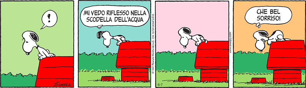 Peanuts 2014 giugno 7