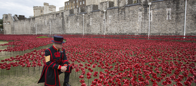 Il sergente degli Yeomen Warders (le guardie della torre di Londra) Bob Loughlin davanti all'installazione Blood Swept Lands and Seas of Red, Londra, 28 luglio 2014 
(Oli Scarff/Getty Images)