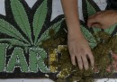 La legalizzazione della marijuana in Uruguay è stata rinviata