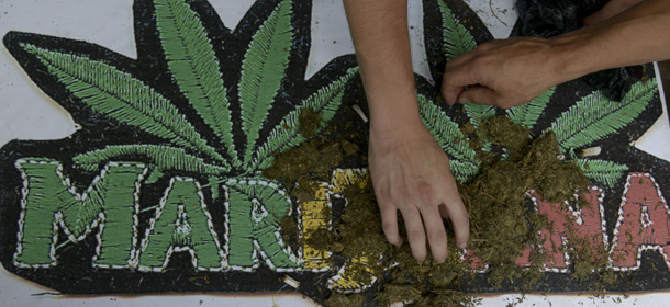View of marijuana during a demo for the World Day for the Legalization of Marijuana in Medellin, Antioquia department, Colombia on May 3, 2014. AFP PHOTO/Raul ARBOLEDA (Photo credit should read RAUL ARBOLEDA/AFP/Getty Images)