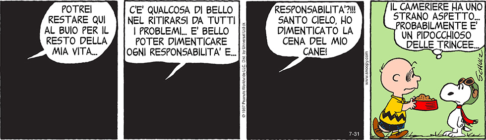 Peanuts 2014 luglio 31