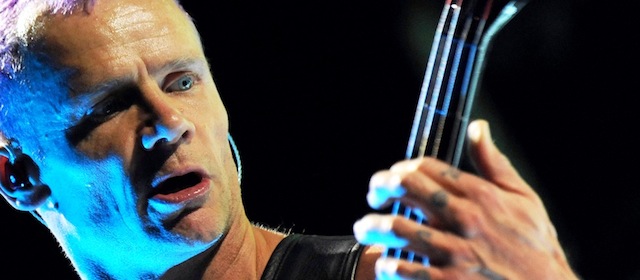 RESTRICTED TO EDITORIAL USE - NO MARKETING NO ADVERTISING CAMPAIGNS
US bassist of the American rock band Red Hot Chili Peppers, Michael "Flea" Balzary, performs during a concert at the Globe in Stockholm on October 12, 2011. AFP PHOTO / JONATHAN NACKSTRAND (Photo credit should read JONATHAN NACKSTRAND/AFP/Getty Images)