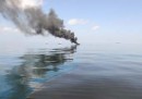 Il Golfo del Messico, 4 anni dopo il disastro