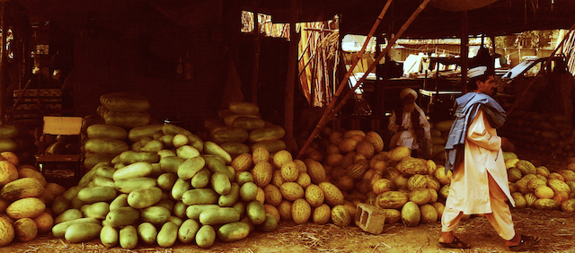 Diversi tipi di meloni esposti a Helmand, città conosciuta per avere i meloni più grandi e più dolci di tutto il paese. A Lashkar Gah, circa 60 chilometri a nord-est da Helmand, c’è un mercato dedicato interamente alla vendita dei meloni.
(Washington Post photo by Erin Cunningham)