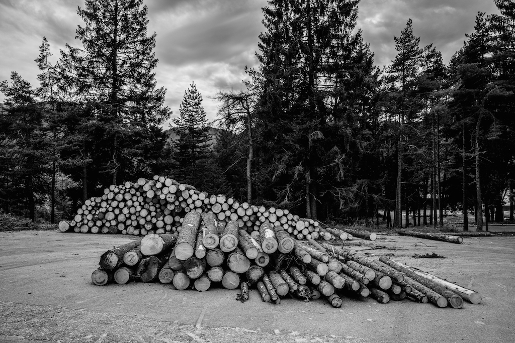 Storie di redenzione