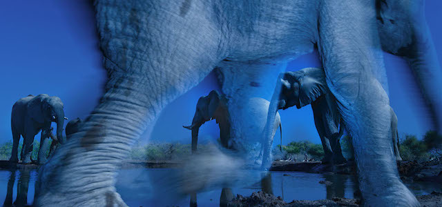 10 bellissime foto di natura