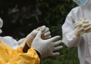 8 miti su ebola