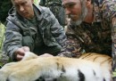 La tigre di Putin è scappata in Cina