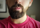 Vita di una barba